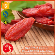 Wolfberry chino de calidad superior barato de la venta caliente en bulto